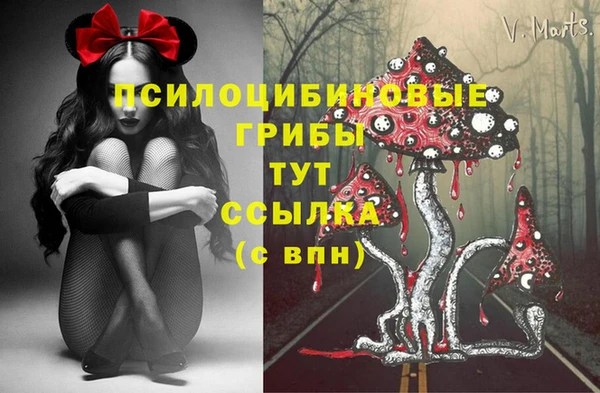 ALPHA-PVP Дмитровск