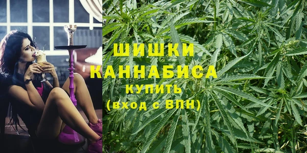 кокс Арсеньев