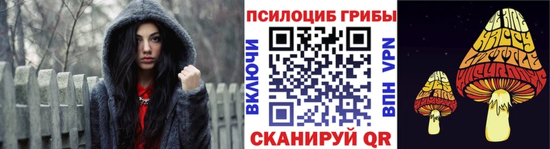 Псилоцибиновые грибы прущие грибы  Купить закладки  Сурск 